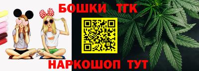 индика Тула