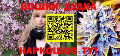 индика Тула