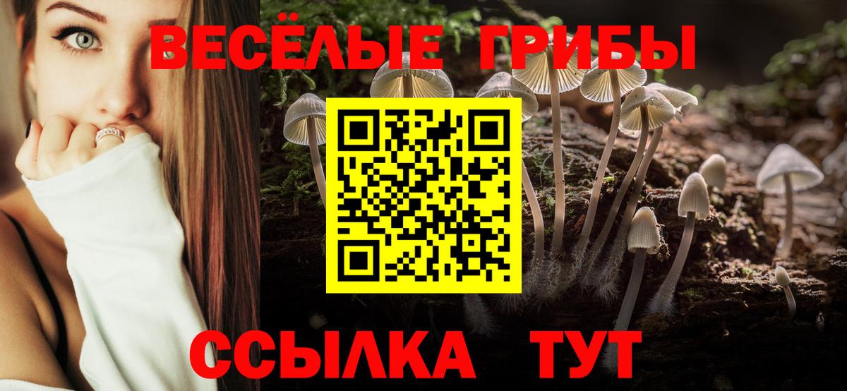 Псилоцибиновые грибы Psilocybine cubensis  Псилоцибиновые грибы мухоморы  Магнитогорск  Вход с VPN 