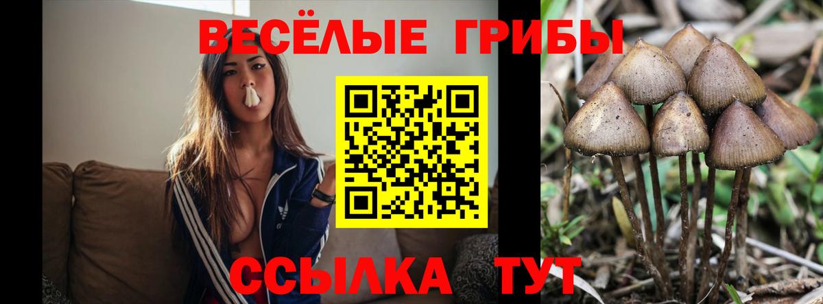 Галлюциногенные грибы MAGIC MUSHROOMS Магнитогорск